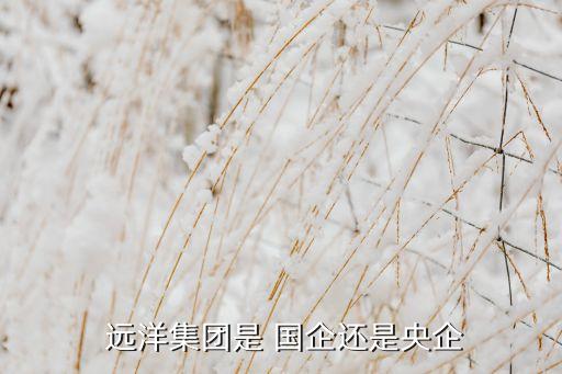  遠(yuǎn)洋集團(tuán)是 國企還是央企