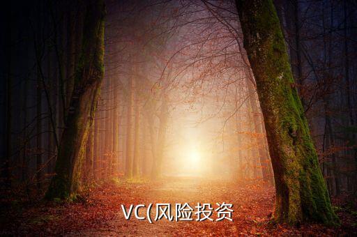 VC(風(fēng)險投資