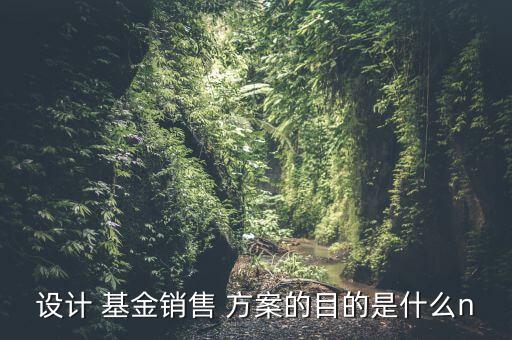 設(shè)計(jì) 基金銷(xiāo)售 方案的目的是什么n