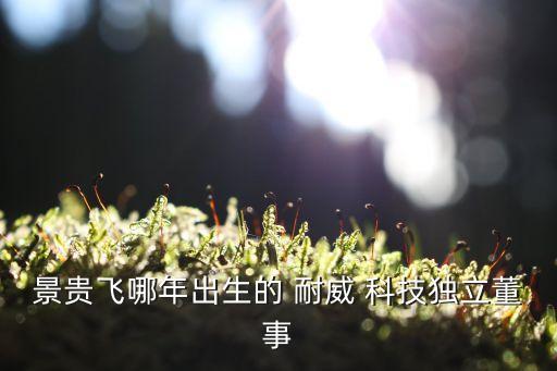 景貴飛哪年出生的 耐威 科技獨(dú)立董事