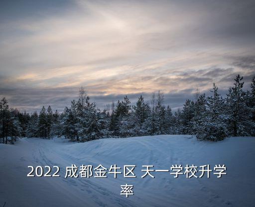 2022 成都金牛區(qū) 天一學(xué)校升學(xué)率