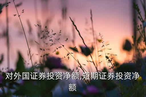 中國對(duì)外國證券投資凈額,短期證券投資凈額