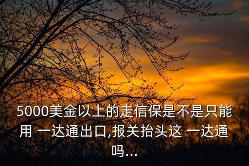 5000美金以上的走信保是不是只能用 一達(dá)通出口,報(bào)關(guān)抬頭這 一達(dá)通嗎...