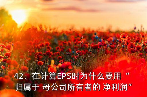 42、在計算EPS時為什么要用“ 歸屬于 母公司所有者的 凈利潤”