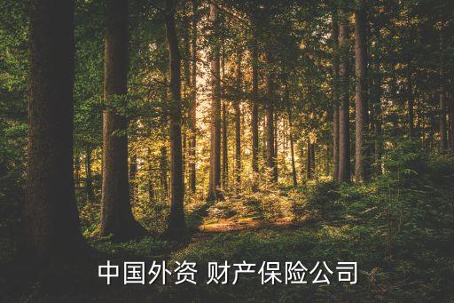 中國外資 財產(chǎn)保險公司