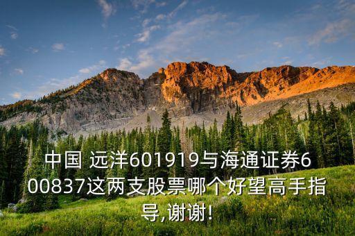 中國 遠(yuǎn)洋601919與海通證券600837這兩支股票哪個(gè)好望高手指導(dǎo),謝謝!