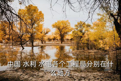 中國(guó) 水利 水電各個(gè)工程局分別在什么地方