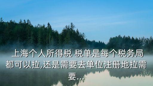  上海個人所得稅 稅單是每個稅務(wù)局都可以拉,還是需要去單位注冊地拉需要...