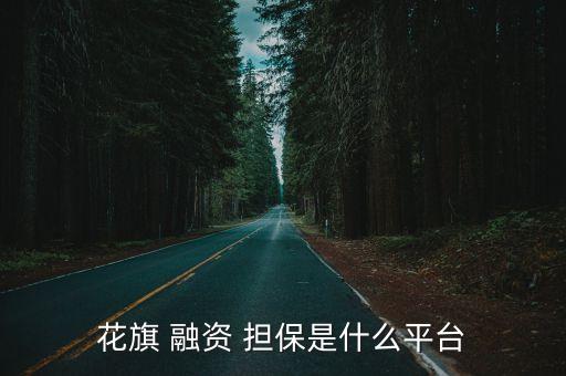 花旗 融資 擔(dān)保是什么平臺(tái)