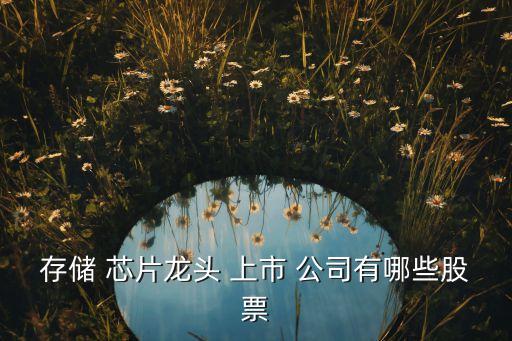 存儲(chǔ) 芯片龍頭 上市 公司有哪些股票