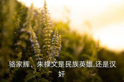 中國人為什么討厭駱家輝