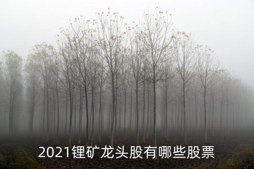 2021鋰礦龍頭股有哪些股票