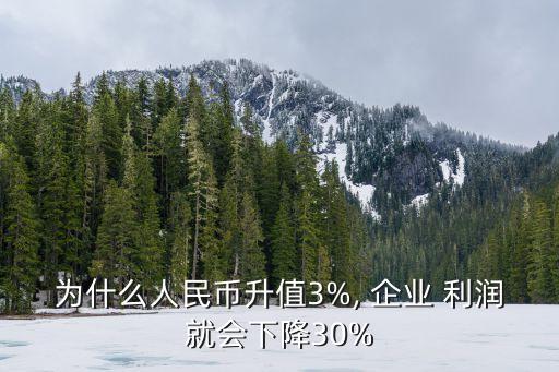 為什么人民幣升值3%, 企業(yè) 利潤就會下降30%