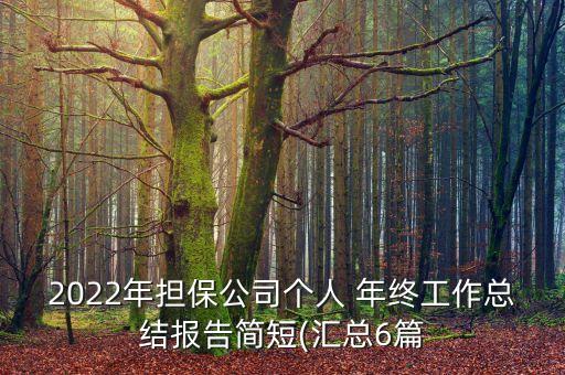 2022年擔(dān)保公司個(gè)人 年終工作總結(jié)報(bào)告簡(jiǎn)短(匯總6篇