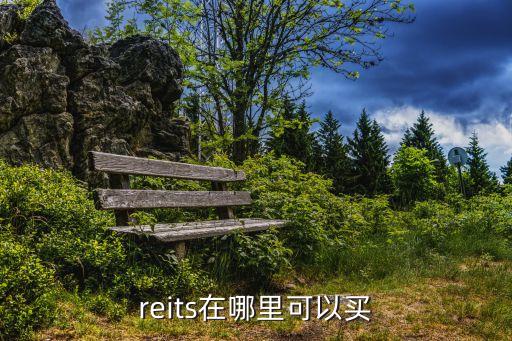 reits在哪里可以買