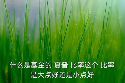 什么是基金的 夏普 比率這個(gè) 比率是大點(diǎn)好還是小點(diǎn)好