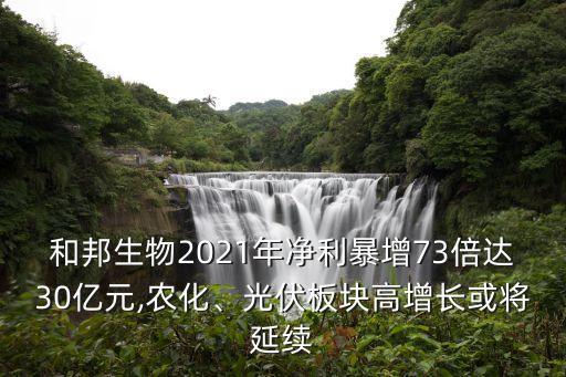 和邦生物2021年凈利暴增73倍達(dá)30億元,農(nóng)化、光伏板塊高增長或?qū)⒀永m(xù)