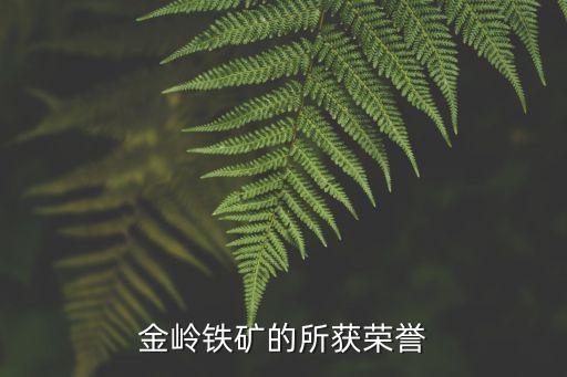 金嶺鐵礦的所獲榮譽