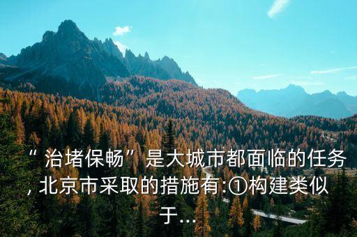 “ 治堵保暢”是大城市都面臨的任務(wù), 北京市采取的措施有:①構(gòu)建類似于...