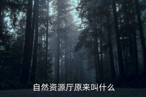  自然資源廳原來(lái)叫什么