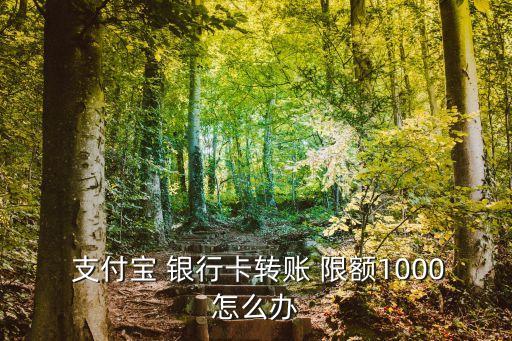  支付寶 銀行卡轉(zhuǎn)賬 限額1000怎么辦