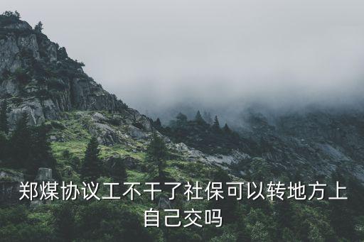  鄭煤協(xié)議工不干了社?？梢赞D(zhuǎn)地方上自己交嗎