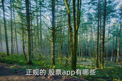 正規(guī)的 股票app有哪些