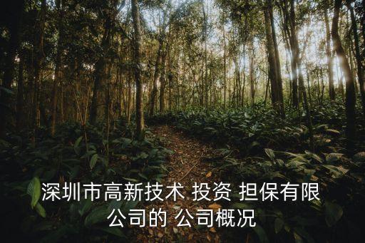 深圳最大的投資擔(dān)保公司,永州金禧投資擔(dān)保公司