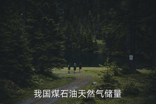 我國煤石油天然氣儲(chǔ)量