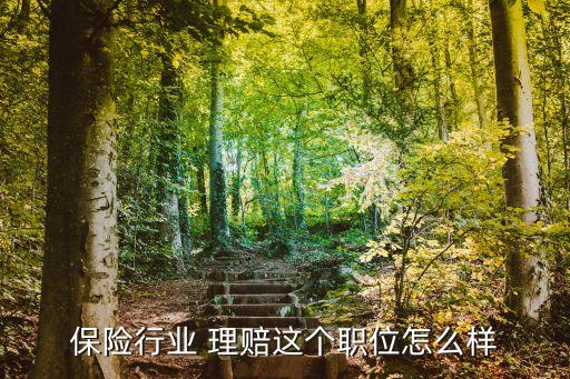 保險(xiǎn)公司理賠累不