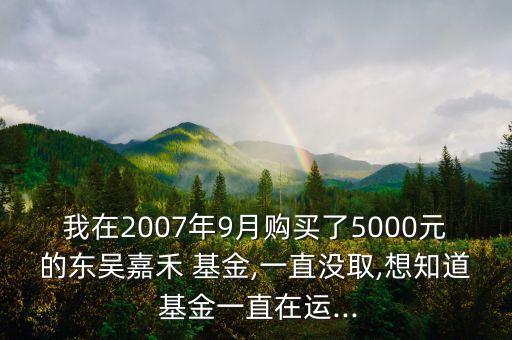 我在2007年9月購買了5000元的東吳嘉禾 基金,一直沒取,想知道 基金一直在運...