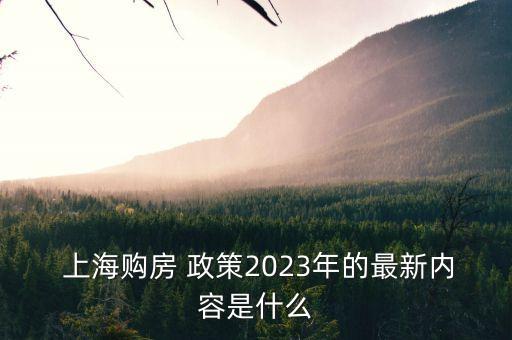  上海購房 政策2023年的最新內容是什么