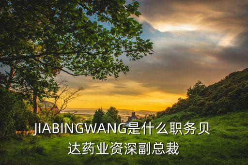 JIABINGWANG是什么職務貝達藥業(yè)資深副總裁