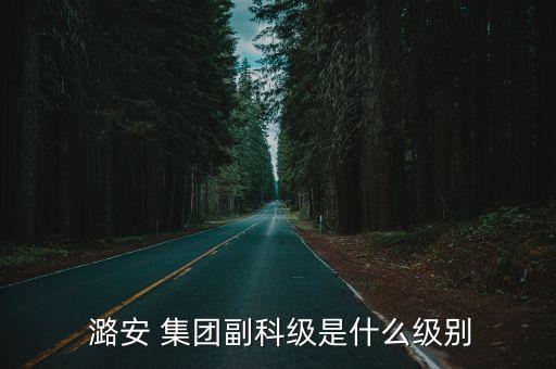  潞安 集團(tuán)副科級(jí)是什么級(jí)別