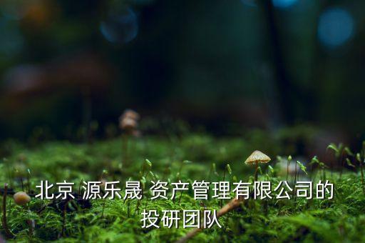  北京 源樂晟 資產(chǎn)管理有限公司的投研團(tuán)隊(duì)