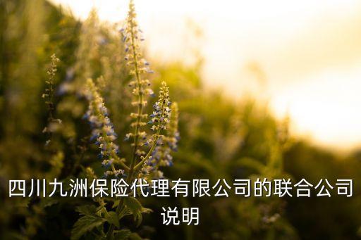 四川九洲保險(xiǎn)代理有限公司的聯(lián)合公司說明