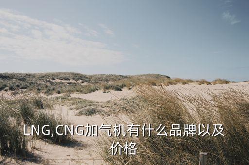 LNG,CNG加氣機(jī)有什么品牌以及價(jià)格