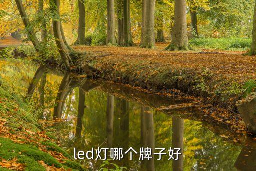 led燈哪個(gè)牌子好