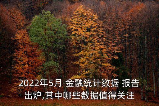 2022年5月 金融統(tǒng)計數據 報告出爐,其中哪些數據值得關注