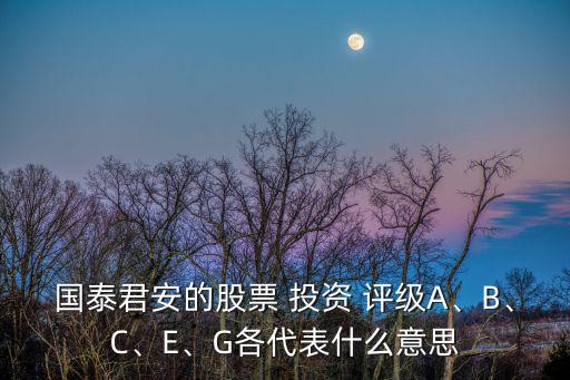 國(guó)泰君安的股票 投資 評(píng)級(jí)A、B、C、E、G各代表什么意思