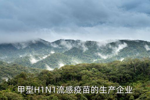 甲型H1N1流感疫苗的生產(chǎn)企業(yè)