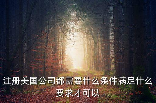 注冊(cè)美國公司都需要什么條件滿足什么要求才可以