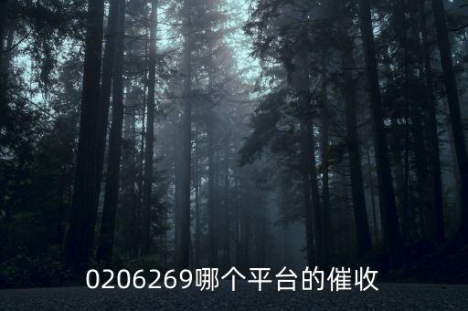 0206269哪個(gè)平臺(tái)的催收