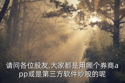 請(qǐng)問(wèn)各位股友,大家都是用哪個(gè)券商app或是第三方軟件炒股的呢