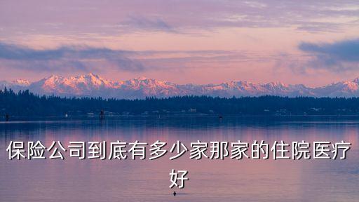 光大永明人壽保險(xiǎn)有限公司廣東分公司