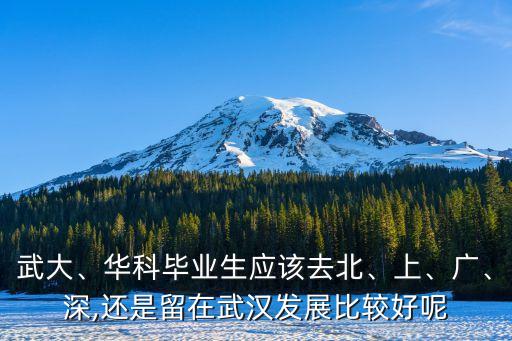 武大、華科畢業(yè)生應(yīng)該去北、上、廣、深,還是留在武漢發(fā)展比較好呢