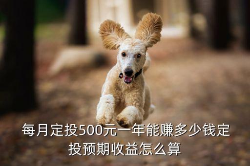  每月定投500元一年能賺多少錢(qián)定投預(yù)期收益怎么算