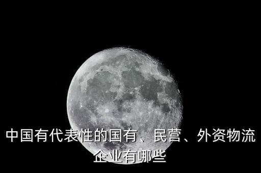 中國有代表性的國有、民營、外資物流企業(yè)有哪些