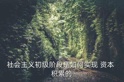 社會主義初級階段是如何實現(xiàn) 資本 積累的