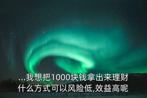 ...我想把1000塊錢拿出來理財(cái)什么方式可以風(fēng)險(xiǎn)低,效益高呢